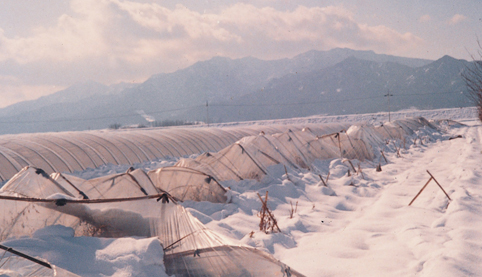 히스토리이미지